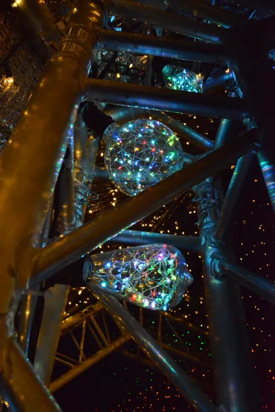 DSC_7017 (Large).JPG